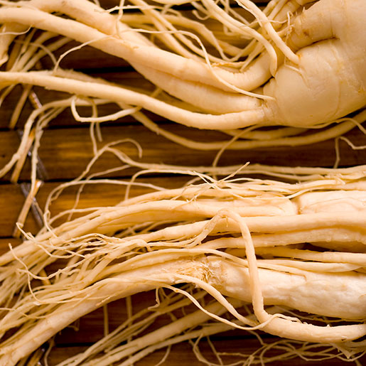 Asian Ginseng